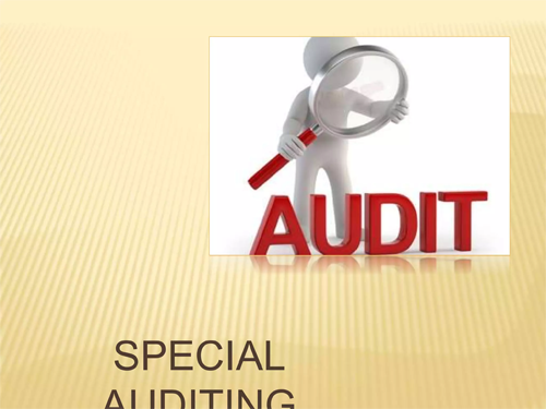 Special Audit Services