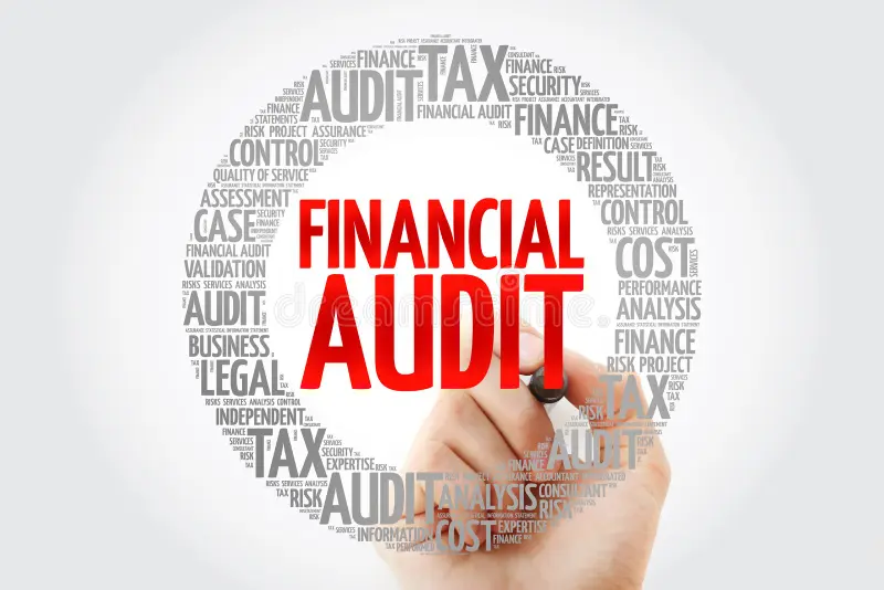 Financial Audit Services